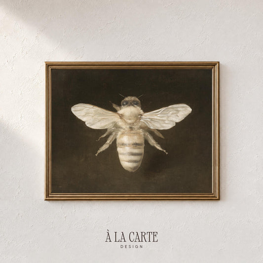 Bee wings spread poster art for gallery wall — vintage specimen study in muted earth tones
