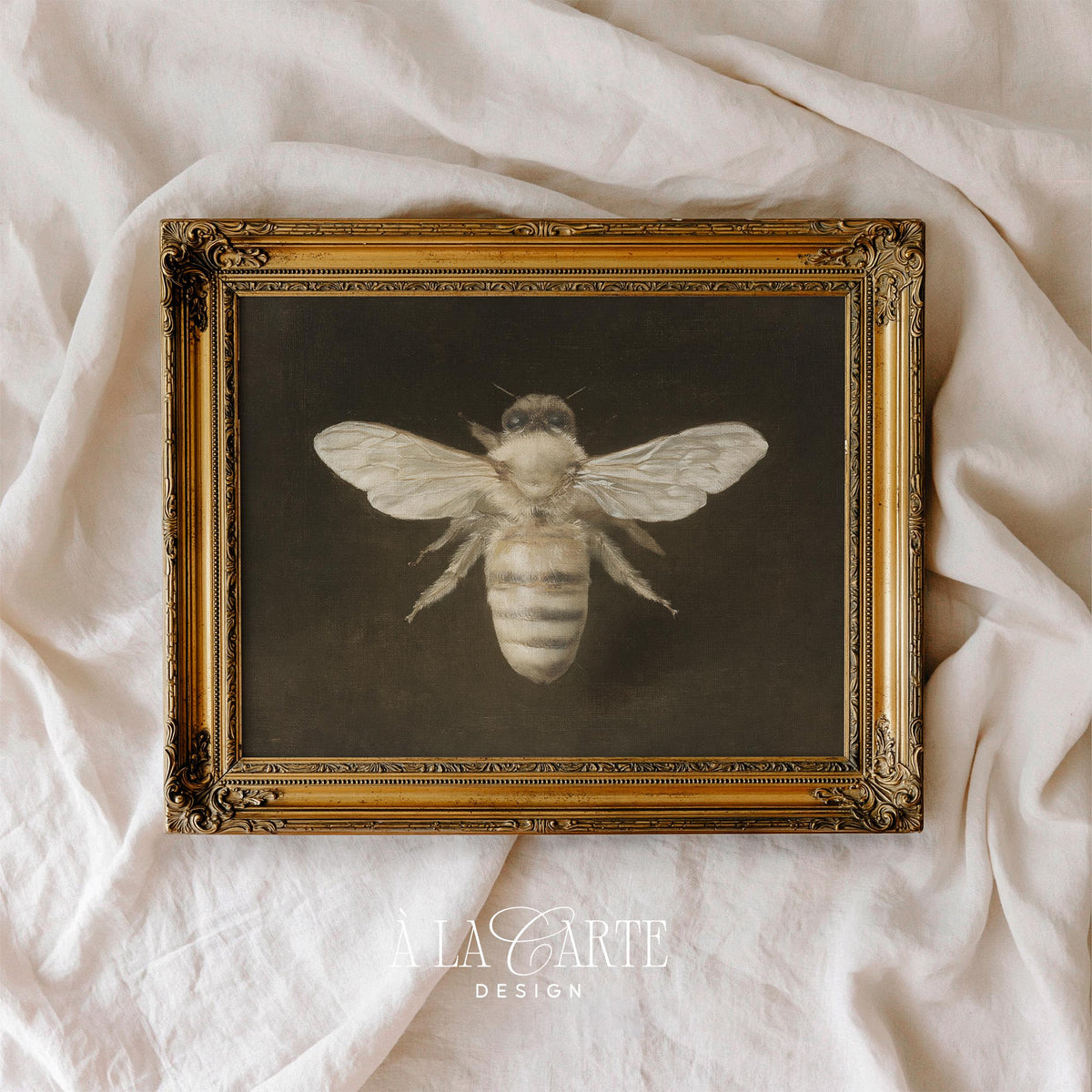 Specimen study bee poster for eclectic spaces — textured oil painting style with antique museum feel