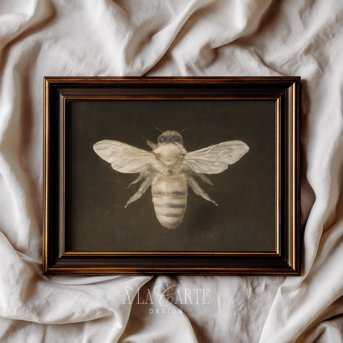 Bee specimen printable art for study — vintage naturalist illustration with muted gold and charcoal tones