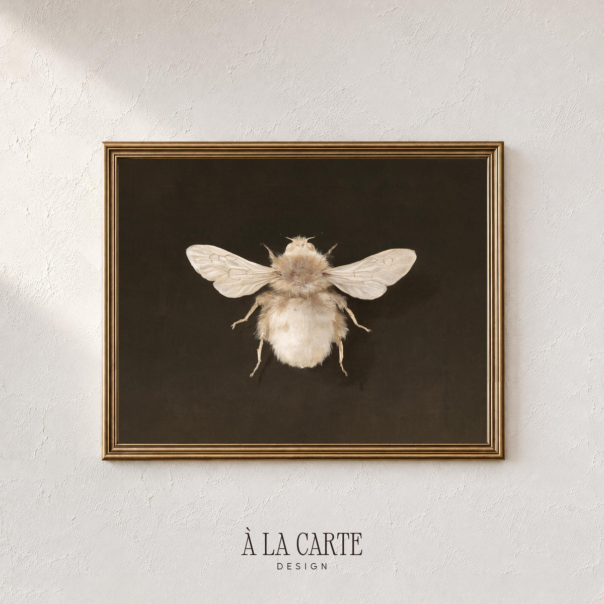 Entomology-inspired bee artwork for library — vintage natural history illustration on deep background