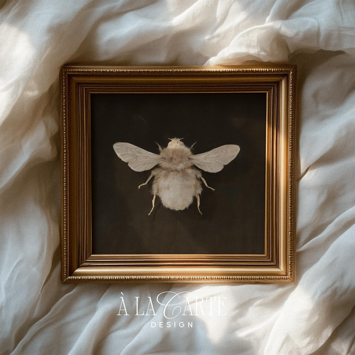 Close-up bee study picture printable art for office — pale honey tones against charcoal canvas