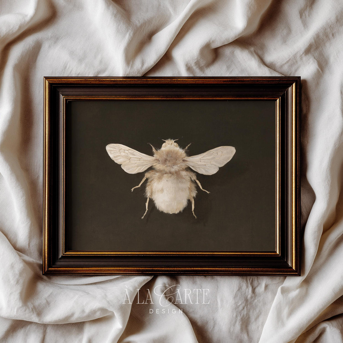 Honeybee illustration art print for home — dark vintage naturalist style with soft textured finish