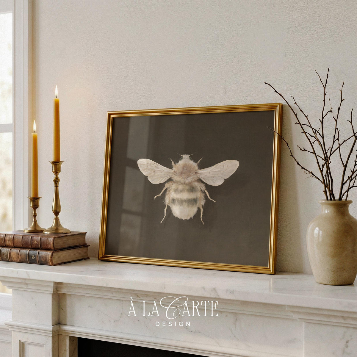 Vintage naturalist insect artwork digital print — cottagecore bee study with realistic wings and antique aesthetic