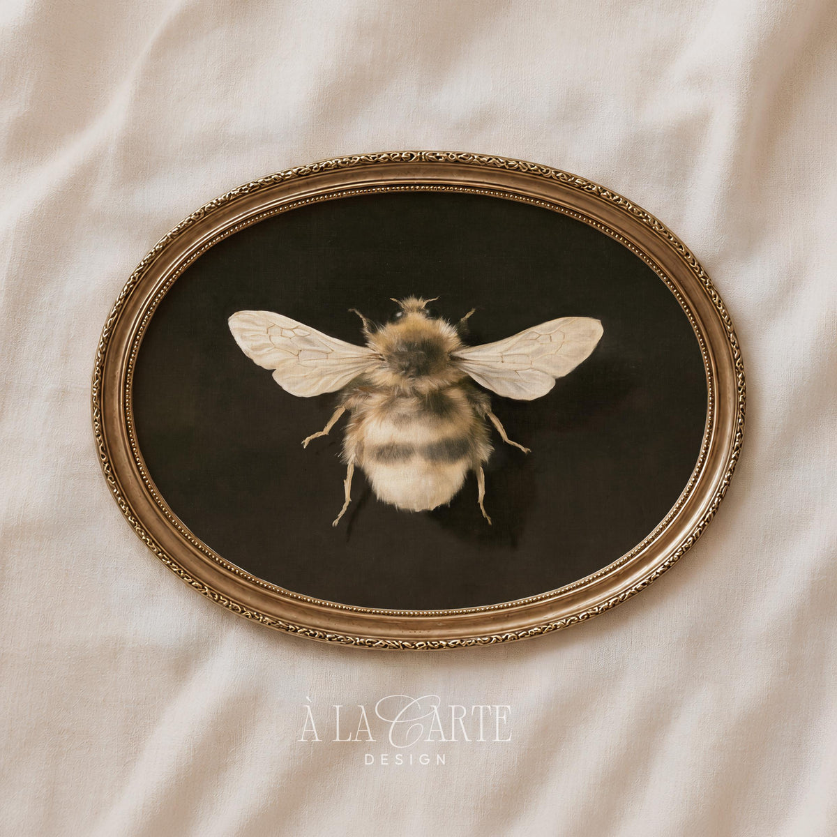 Antique naturalist bee poster for entryway — detailed rendering with brushed texture and sophisticated museum aesthetic