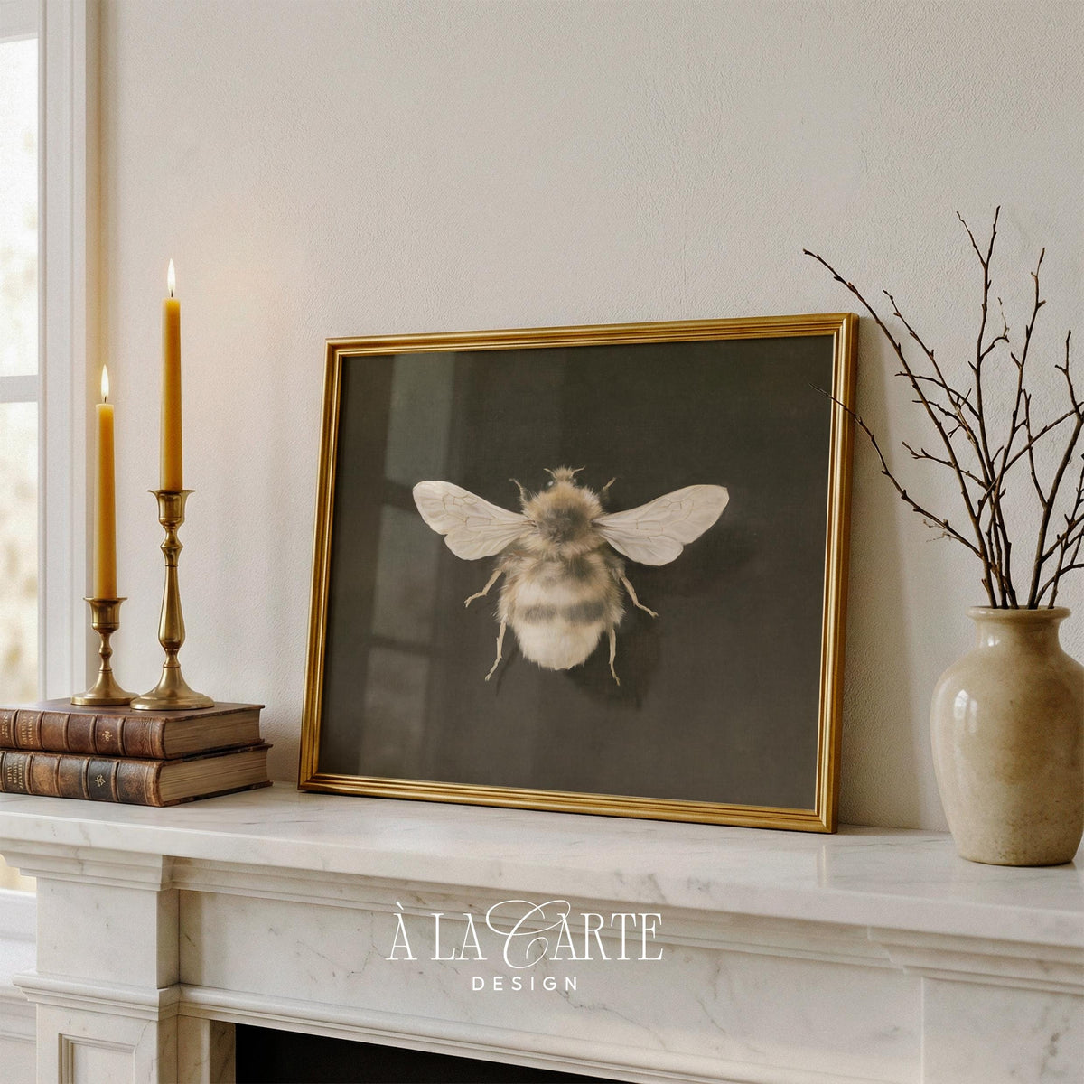 Bumblebee specimen art digital file for classroom — vintage scientific aesthetic with intricate detail and warm golden tones