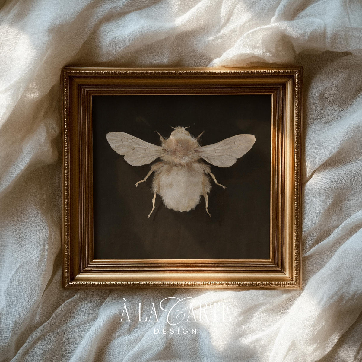 Dark academia insect poster art print for study nook — detailed bee with soft brushwork and antique scientific illustration vibe