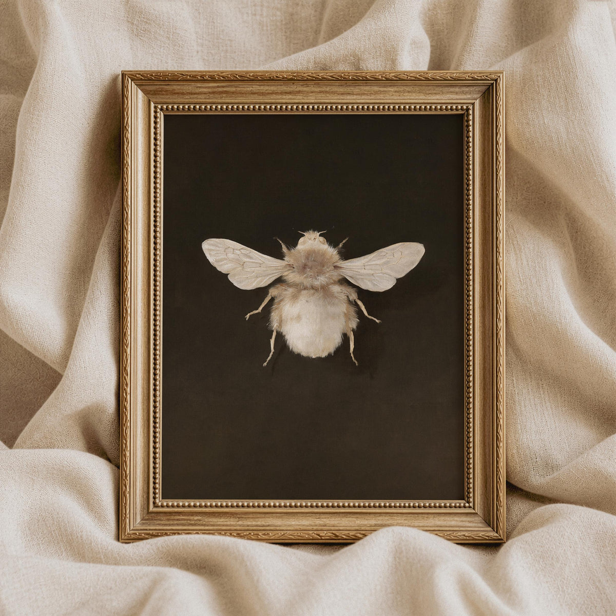 Antique bee study wall art instant download for bedroom — scholarly illustration with soft texture and rich dark frame-ready background