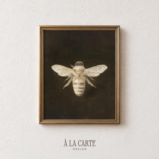 Dark academia bee poster for library — classical natural history illustration with soft shading and museum-quality appearance