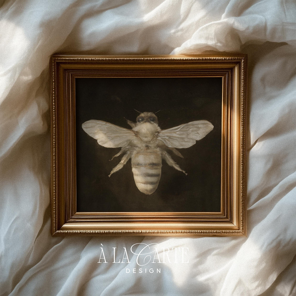 Antique bee digital print for bedroom — soft-winged insect with aged museum specimen feel and sophisticated contrast