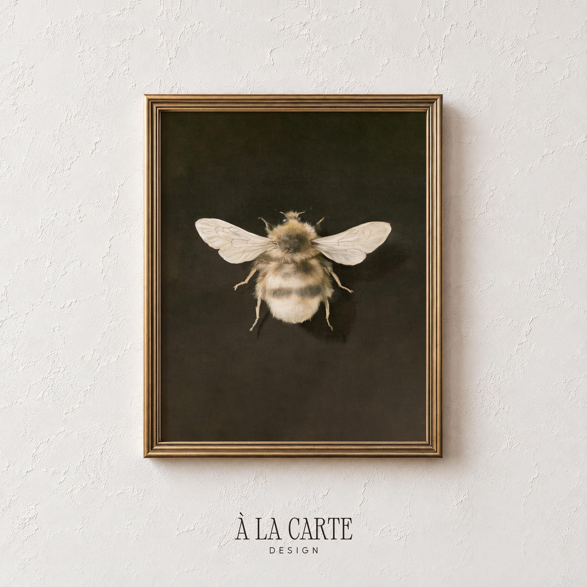 Antique nature study painting digital file — detailed bee specimen with museum-cabinet aesthetic