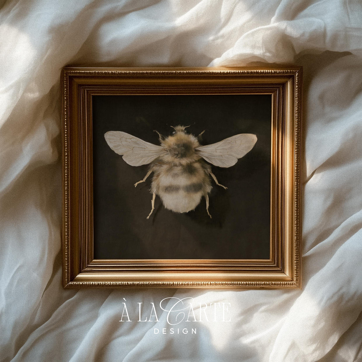 Vintage apiary illustration wall art printable — dark academia insect portrait with fine detail