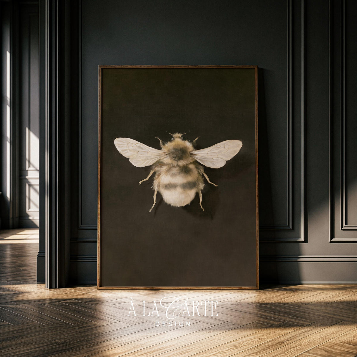 Curiosity cabinet bee art print instant download — vintage scientific specimen on dark backdrop
