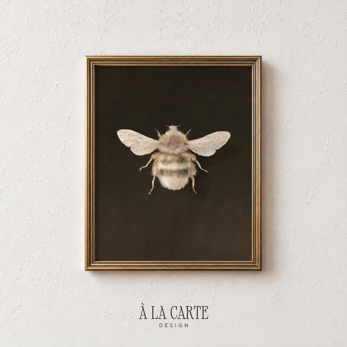Bumblebee wall print instant download — antique curiosity cabinet style naturalist study