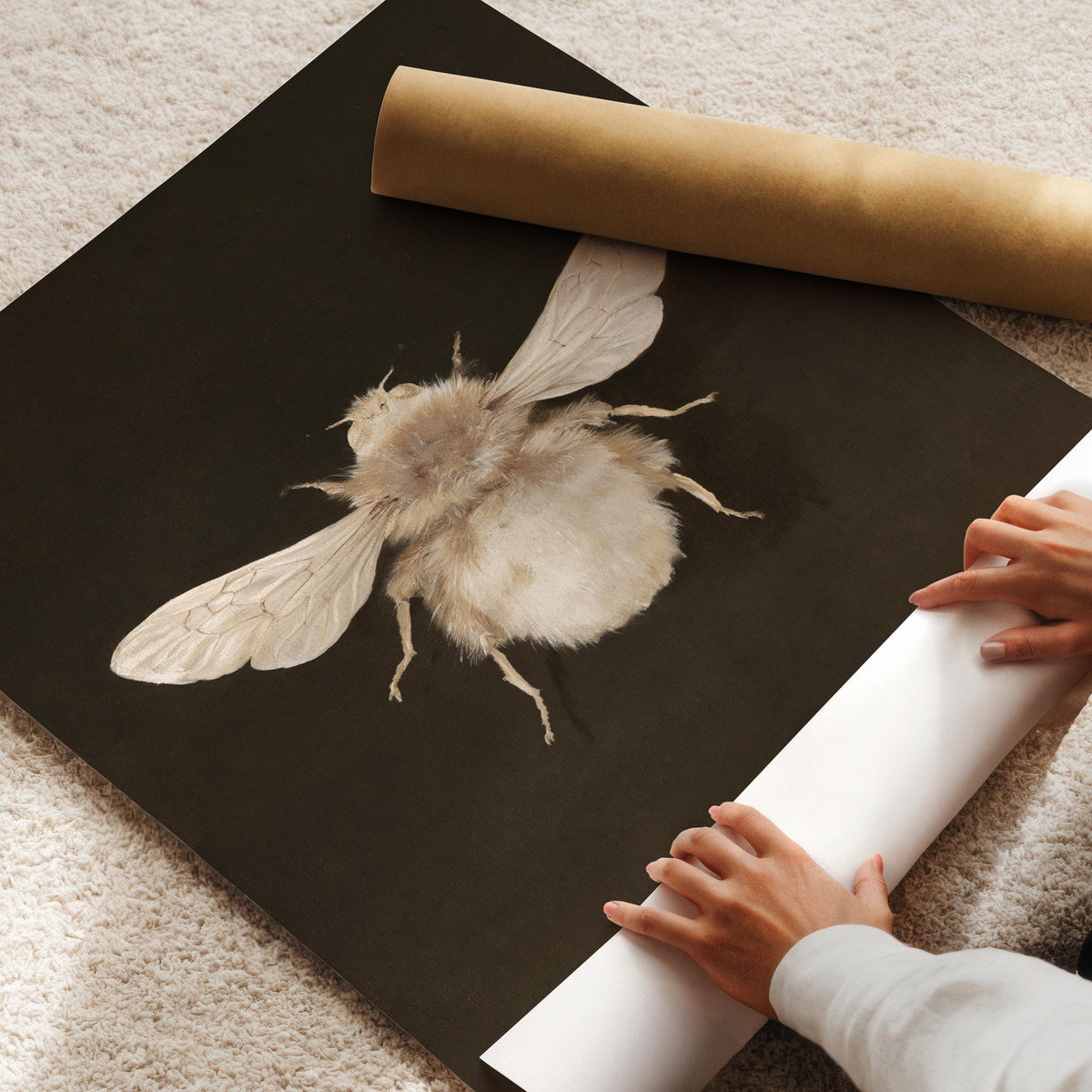 Vintage Bumblebee Wall Art, Dark Academia Printable, Antique Insect Painting, White Bee Print, Moody Bee Art, Entomology Decor H227