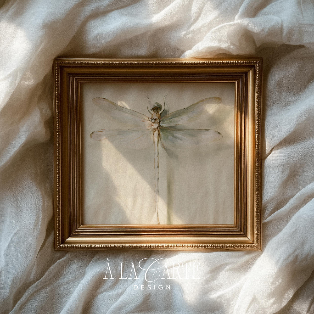 Insect illustration digital print for entryway — old-world scientific sketch with faint aging spots