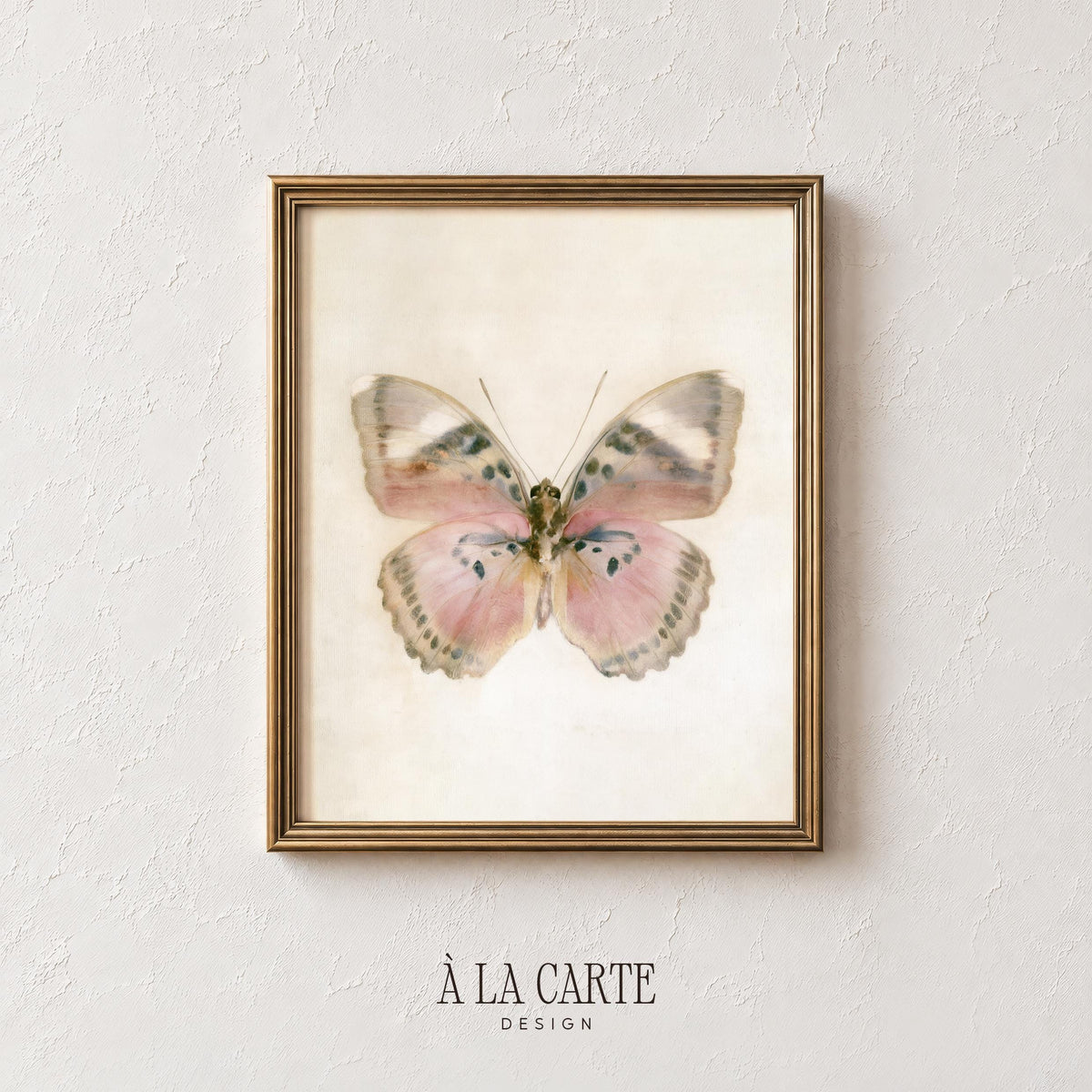 Vintage lepidopteran artwork for gallery wall — soft painterly brushwork with warm heritage color palette