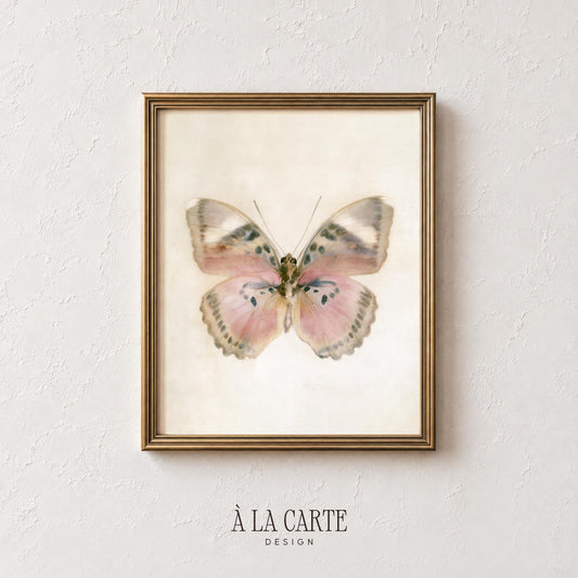 Vintage lepidopteran artwork for gallery wall — soft painterly brushwork with warm heritage color palette