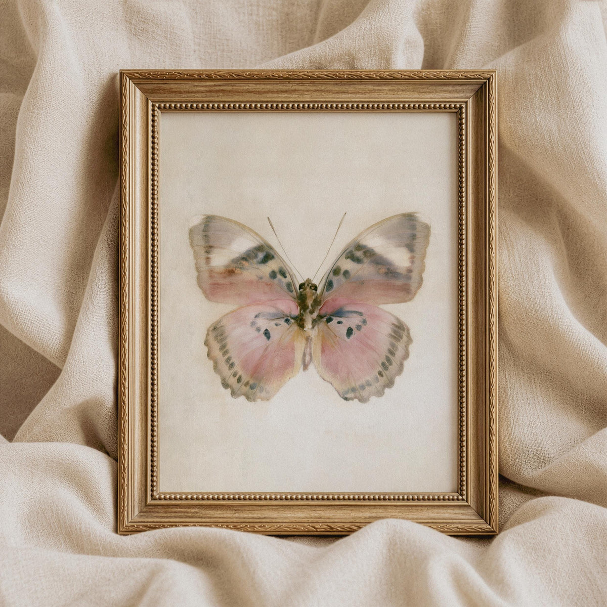 Pale winged creature wall decor for farmhouse — aged illustration with muted romantic aesthetic