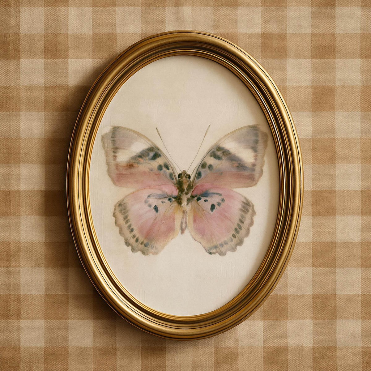 Antique butterfly digital picture for living room — blush and cream wings with naturalist journal detail