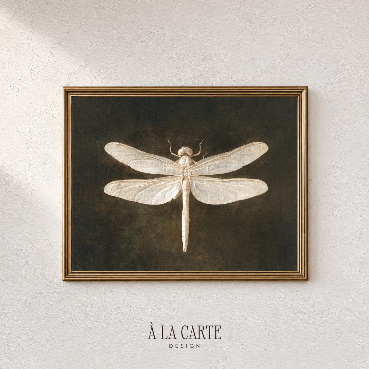 Dragonfly poster for bedroom — vintage naturalist study with soft ivory wings against rich brown tones