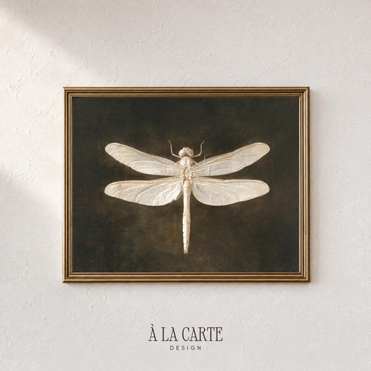Dragonfly poster for bedroom — vintage naturalist study with soft ivory wings against rich brown tones