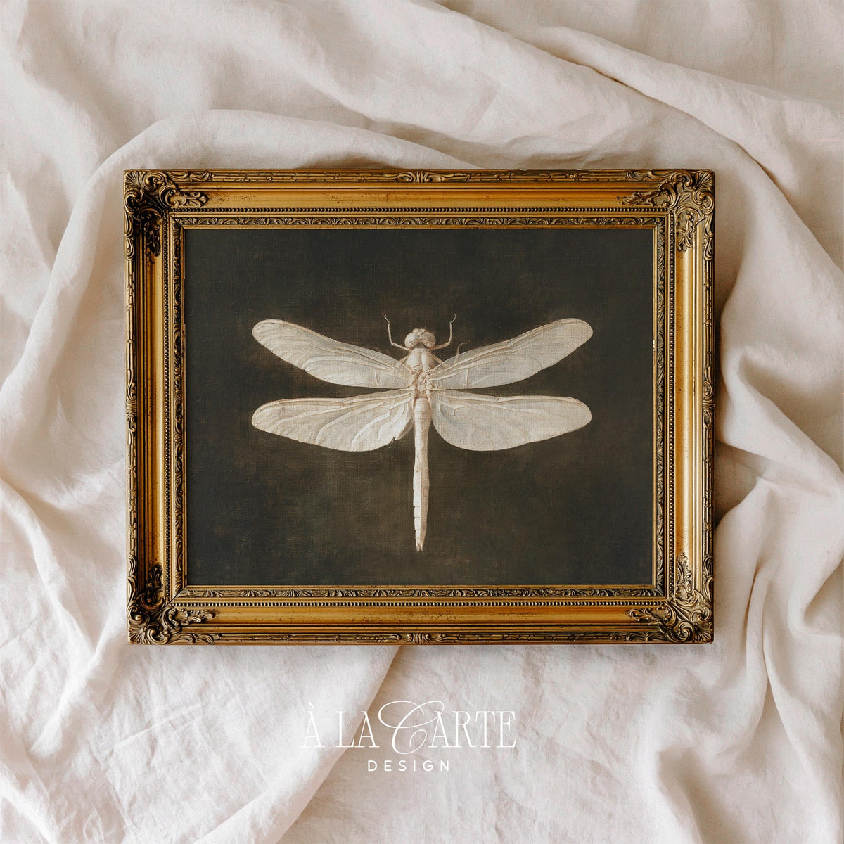 Antique insect illustration wall art featuring delicate dragonfly on weathered dark backdrop with museum-quality finish