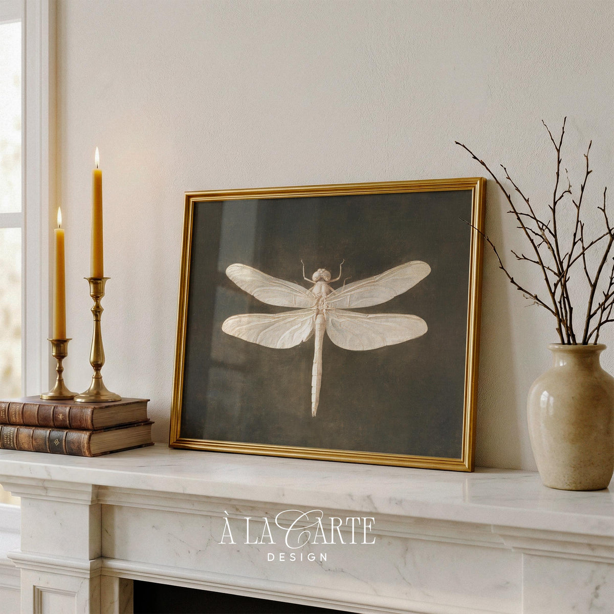 Antique naturalist artwork featuring delicate dragonfly on aged backdrop — vintage dark academia wall decor