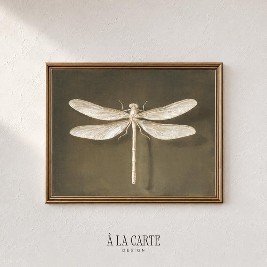 Vintage Dragonfly Wall Art, Vintage Insect Printable, Entomology Decor, White Dragonfly, Moody Cottagecore Print, Dark Academia Decor H1236