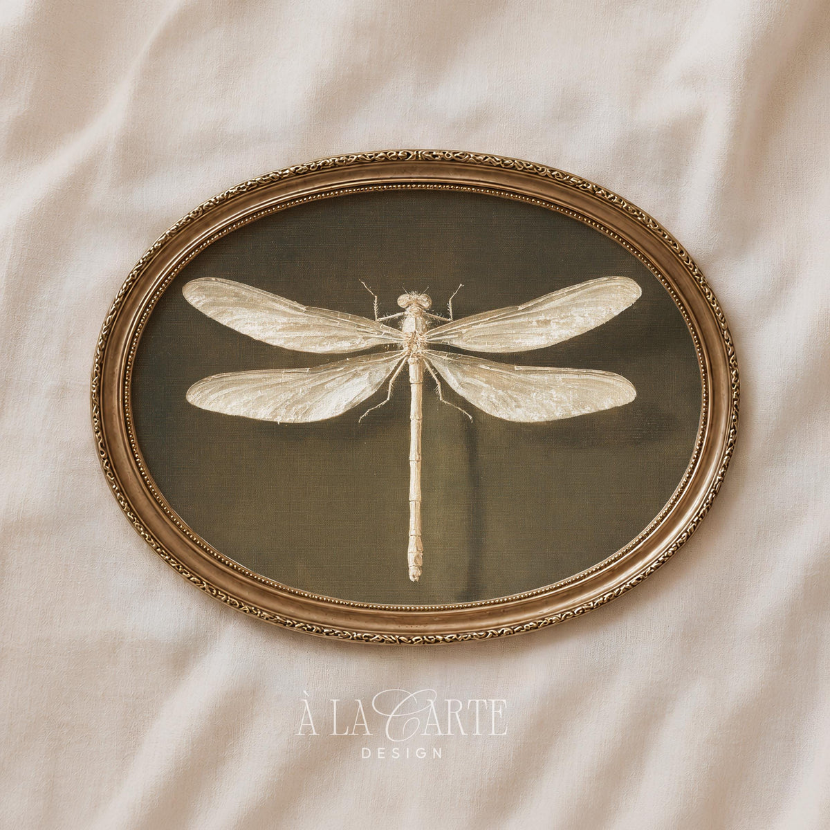 Vintage Dragonfly Wall Art, Vintage Insect Printable, Entomology Decor, White Dragonfly, Moody Cottagecore Print, Dark Academia Decor H1236