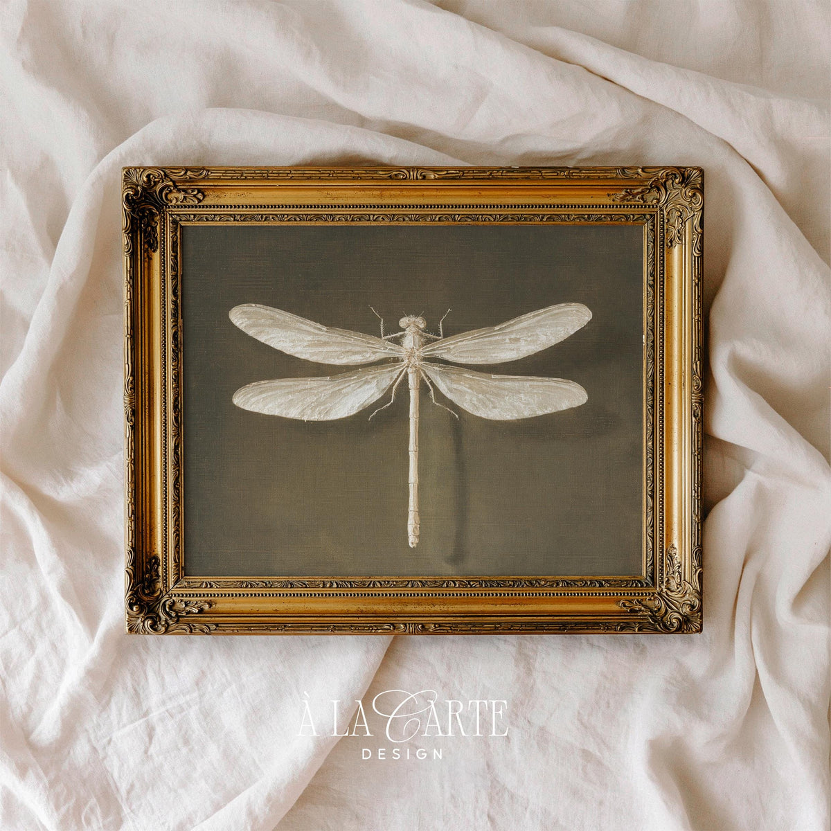 Vintage Dragonfly Wall Art, Vintage Insect Printable, Entomology Decor, White Dragonfly, Moody Cottagecore Print, Dark Academia Decor H1236