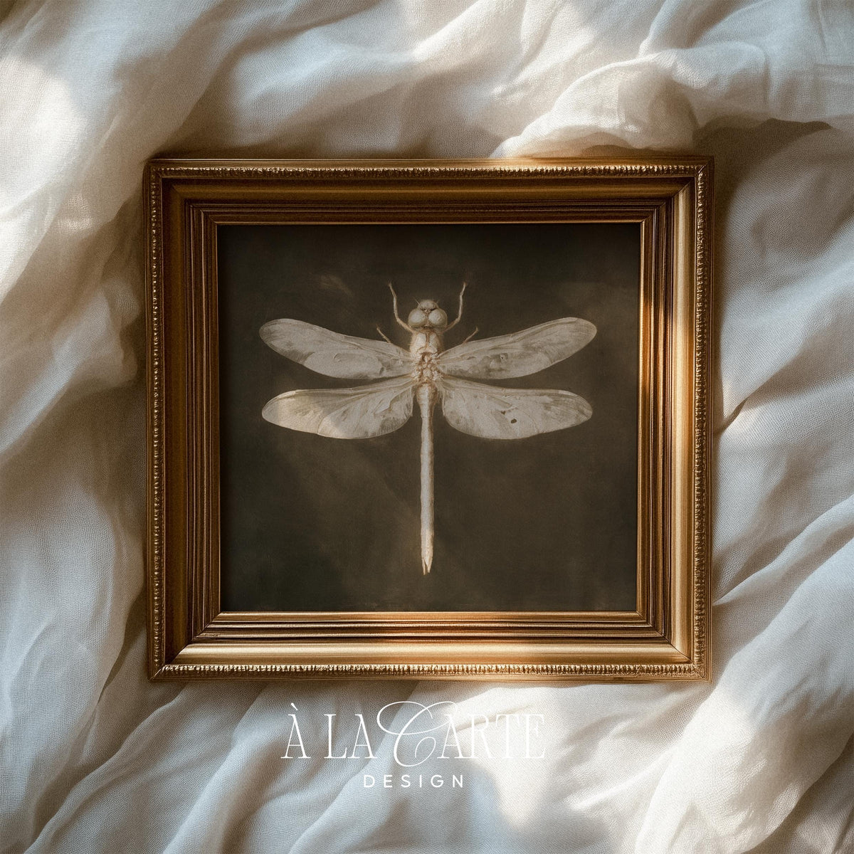 Winged insect artwork printable — dragonfly wings rendered in soft vintage tones, perfect for dark academia gallery walls