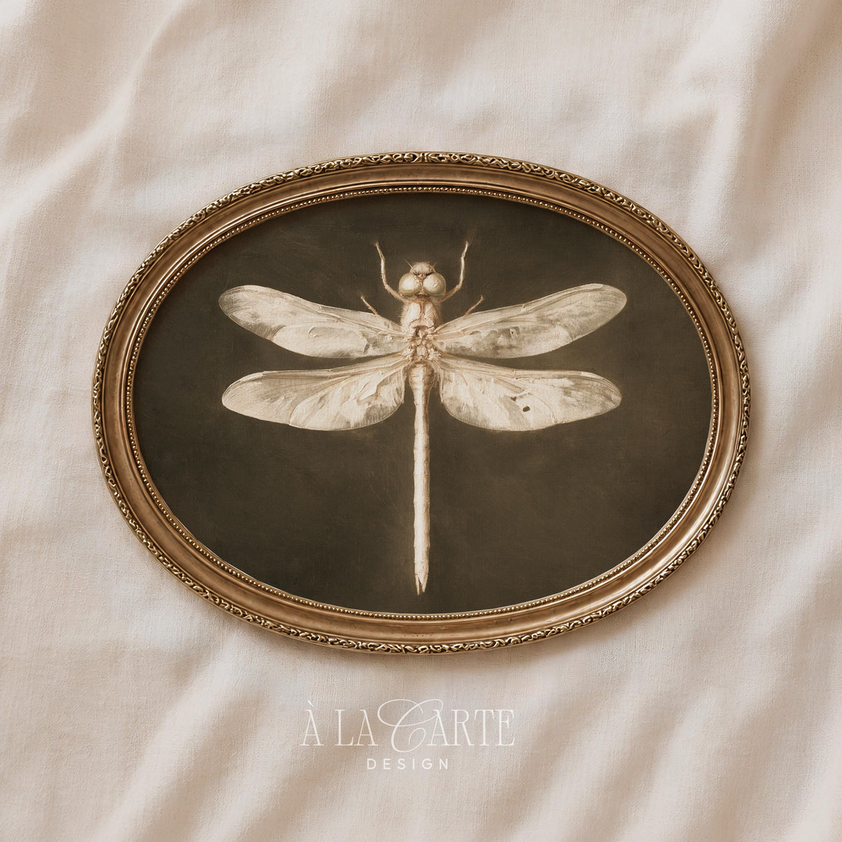 Damselfly study picture printable — dark academia insect art with antique paper distressing and vintage charm