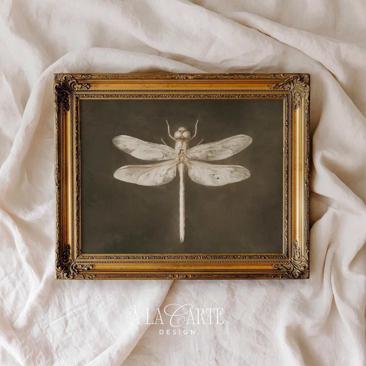 Dragonfly collector's print digital download — antique naturalist illustration with weathered distressing and dark academia charm