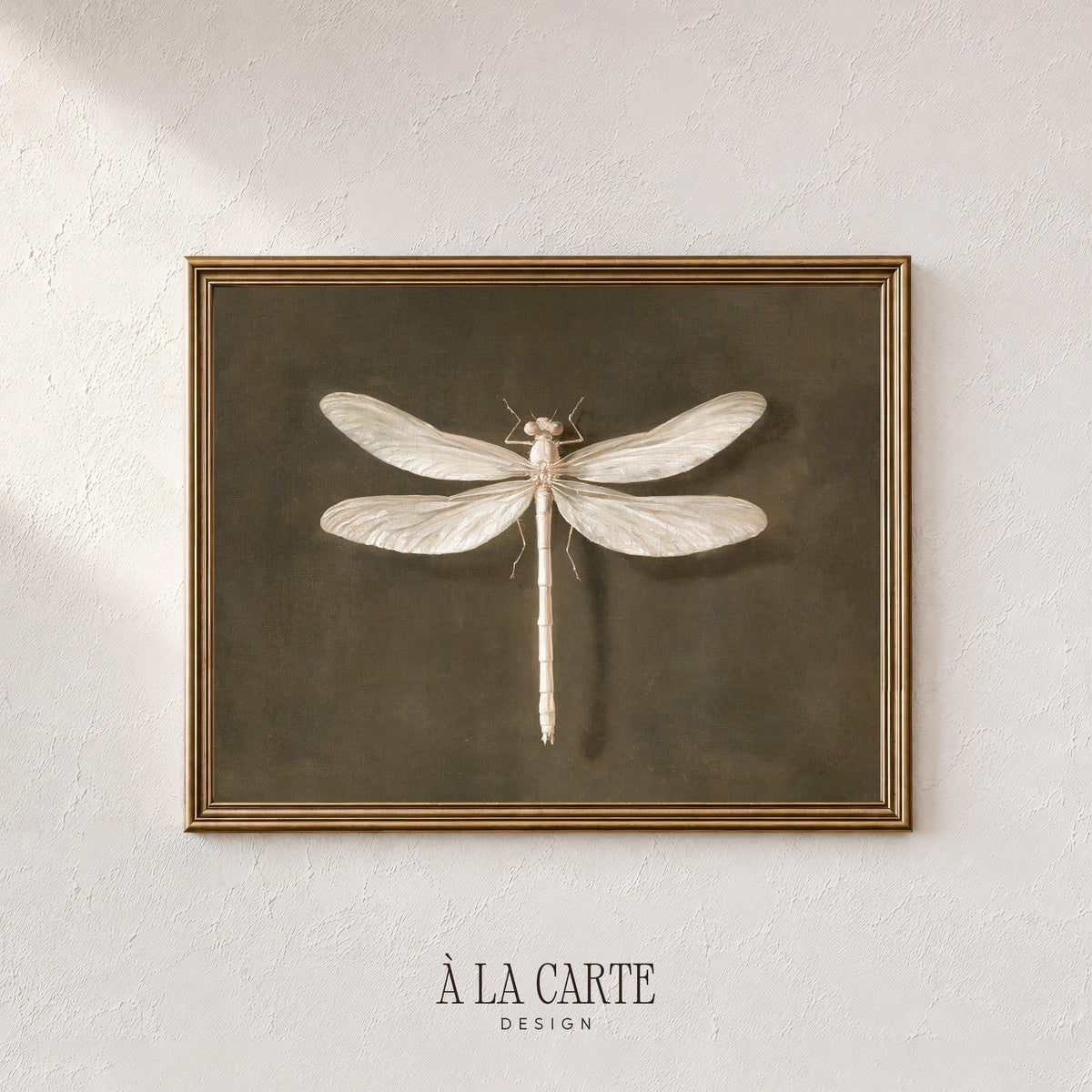 Dragonfly wall decor instant download for home office — vintage-style entomology print with subtle distressed aged texture