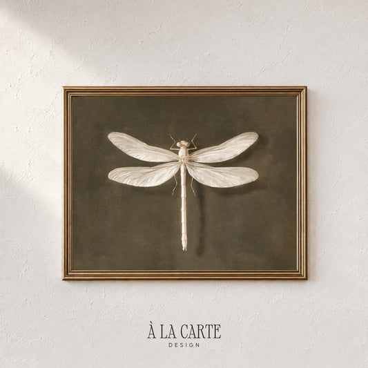 Dragonfly wall decor instant download for home office — vintage-style entomology print with subtle distressed aged texture
