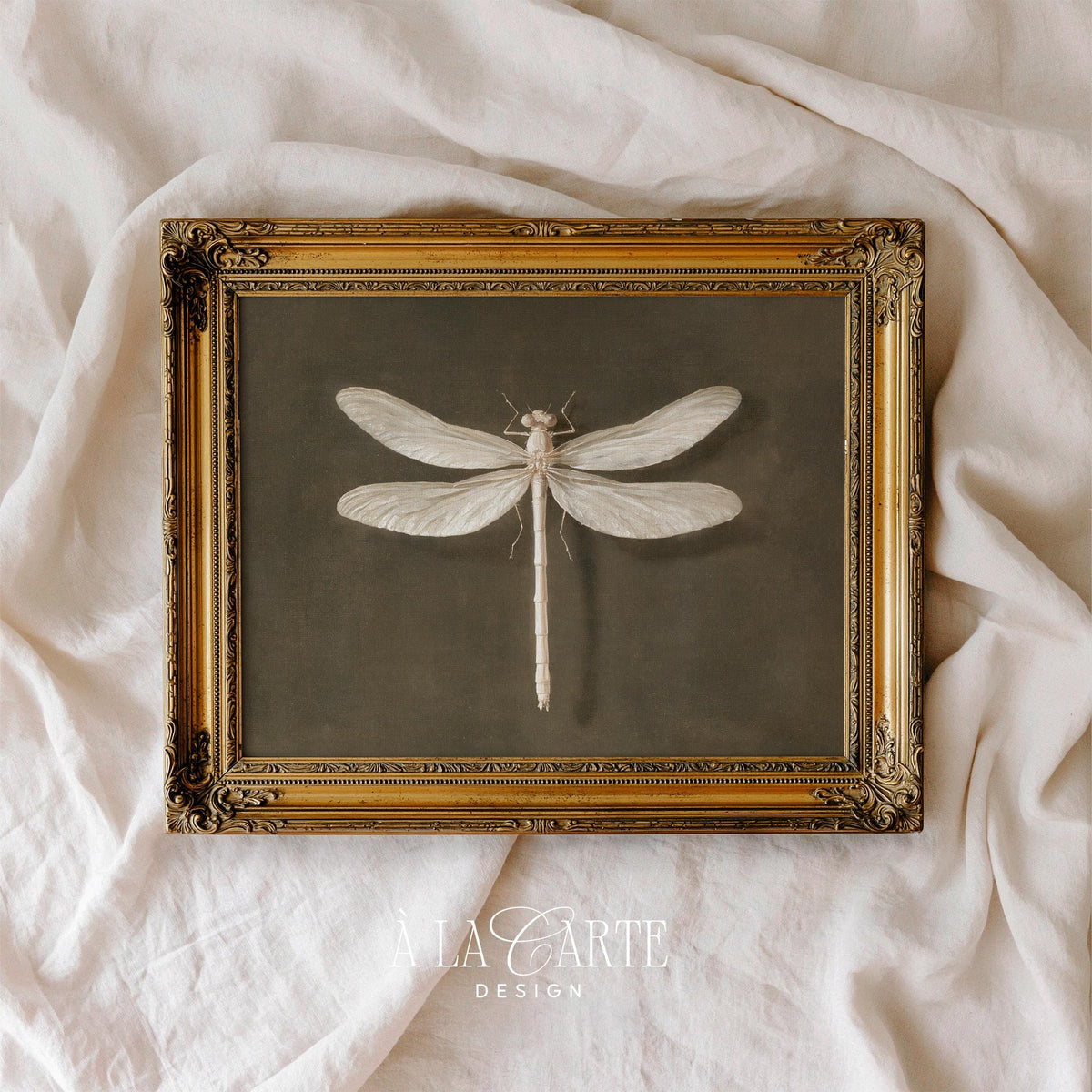 Dragonfly wall picture printable for elegant spaces — refined vintage naturalist aesthetic with soft tones and rustic aged patina