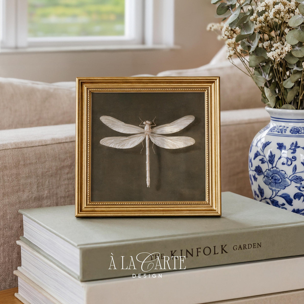 Vintage specimen illustration digital download for study — detailed winged insect with cream details on aged moody backdrop