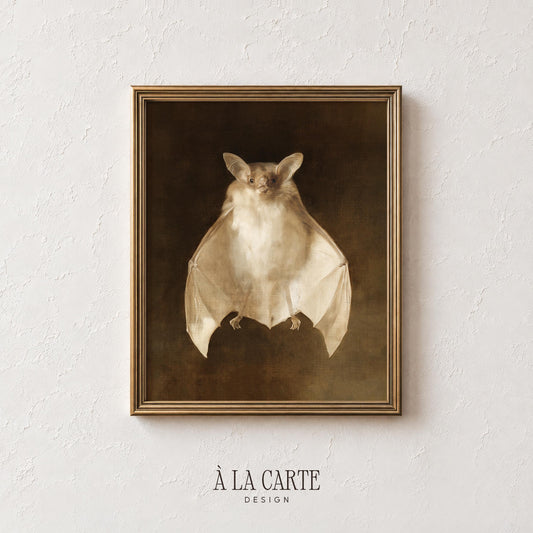 Front-facing bat picture for spooky room decor — vintage-style natural history illustration with vignette background