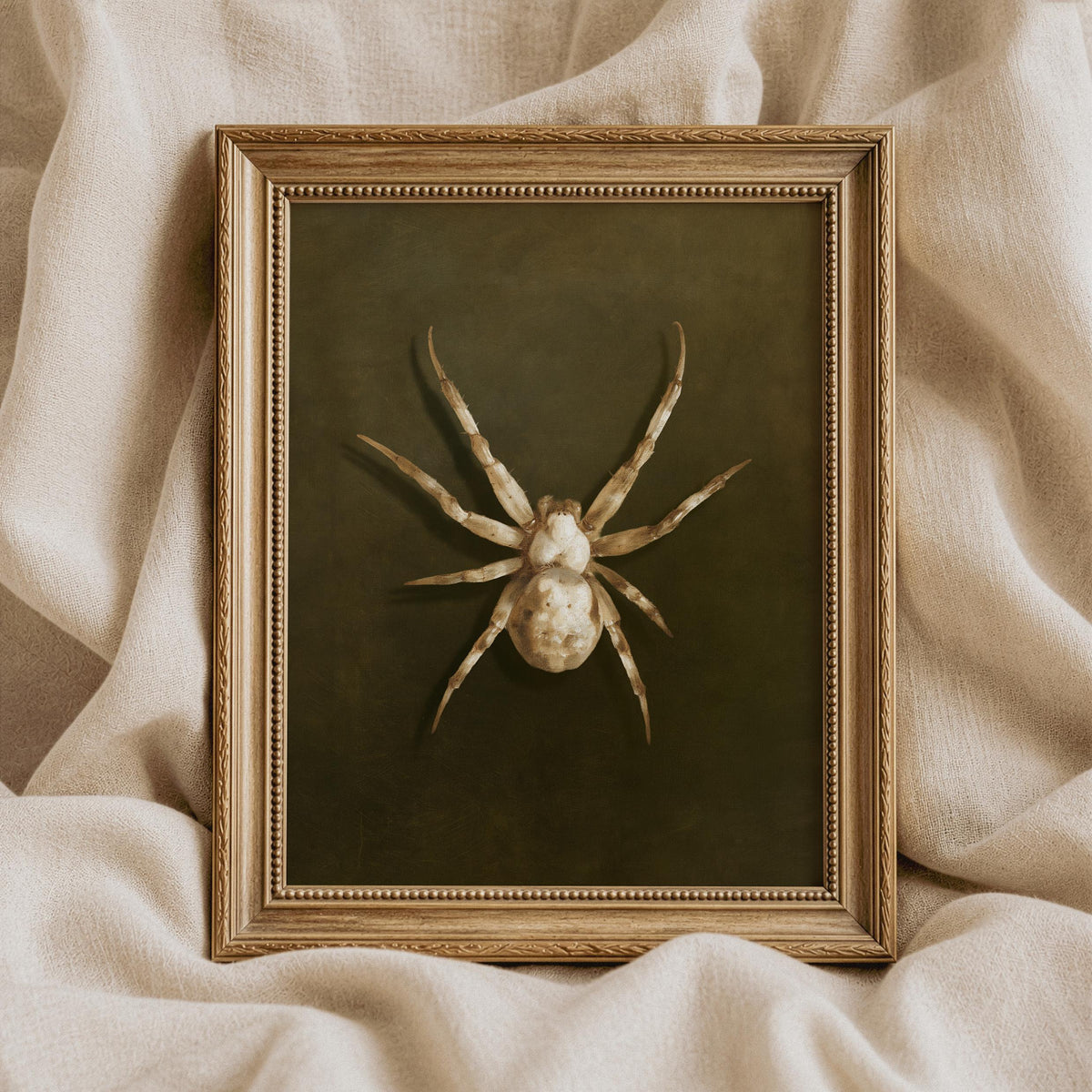 Antique-style spider illustration wall print — Halloween-ready dark academia aesthetic on aged background