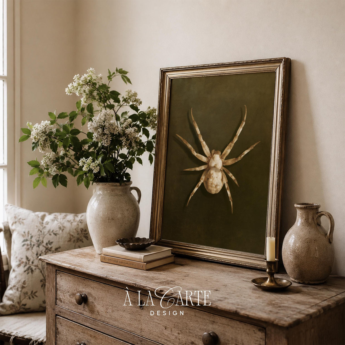Naturalist spider digital print for reading room — elegant moody background vintage museum feel