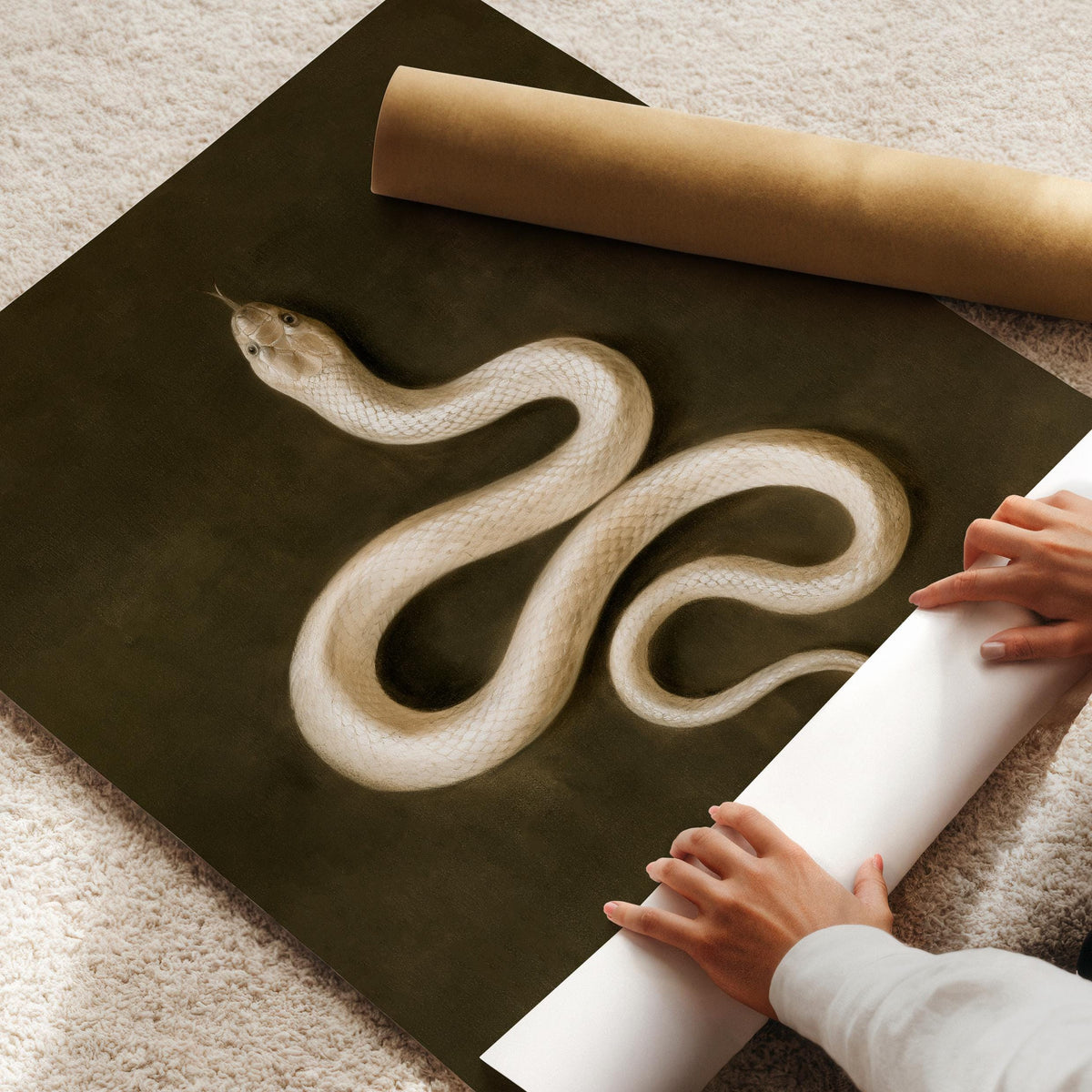 Coiled serpent poster for curiosity cabinet spaces — gothic elegance meets antique scientific illustration