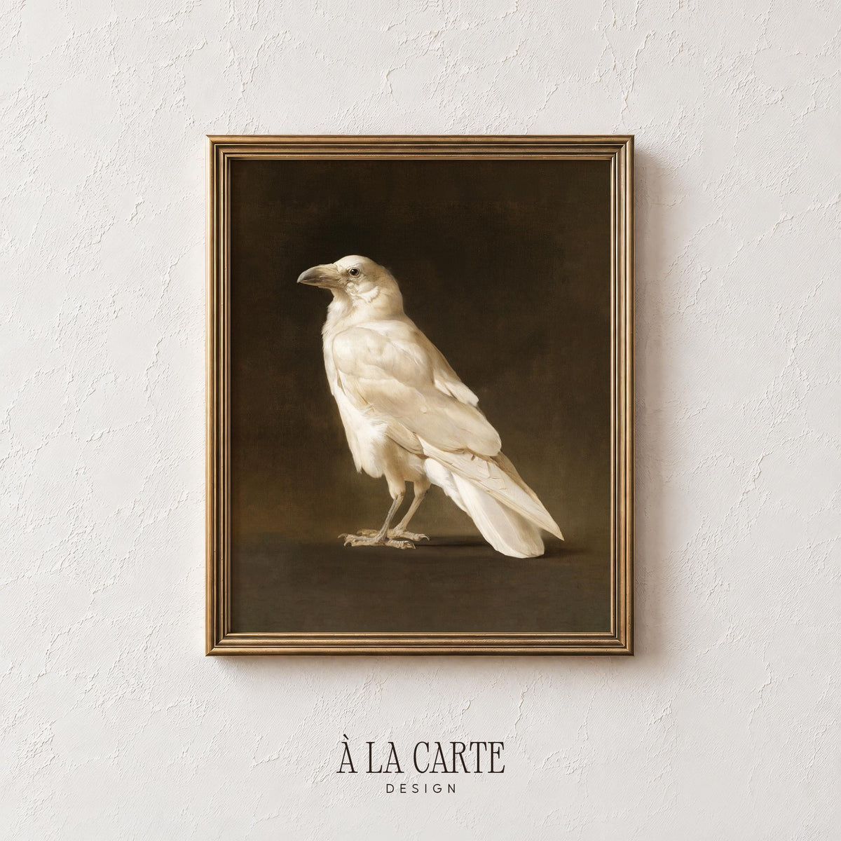 White avian picture printable for gallery wall — 17th-century naturalist aesthetic with dramatic dark backdrop