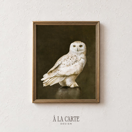 Elegant arctic bird artwork for hallway — vintage oil painting style with soft cream feathers