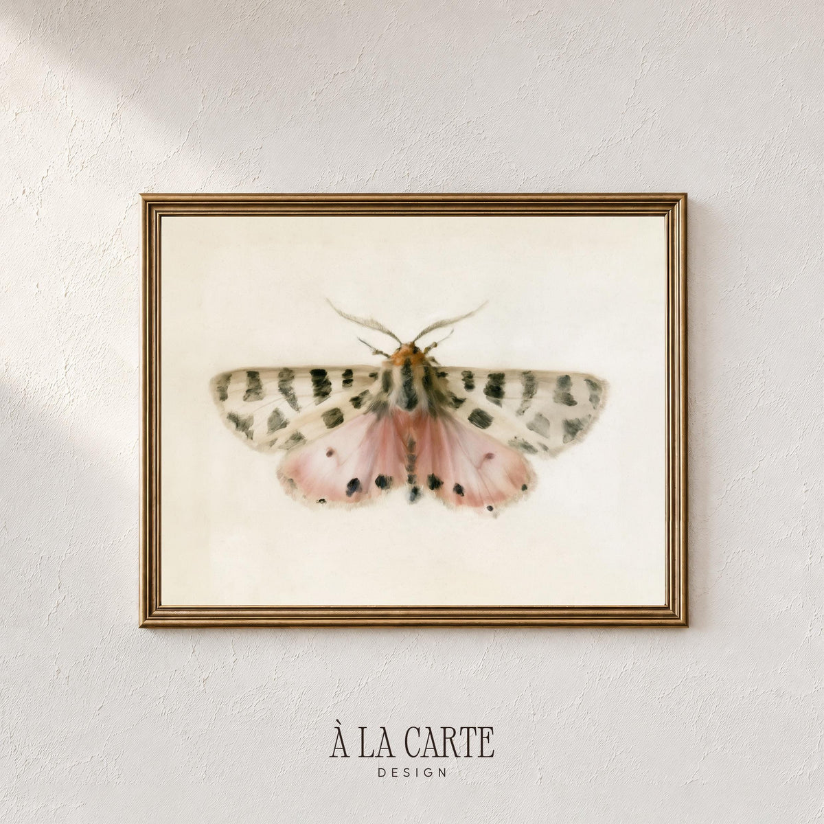Winged creature gallery print for dining room — vintage scientific illustration with delicate spotted pattern