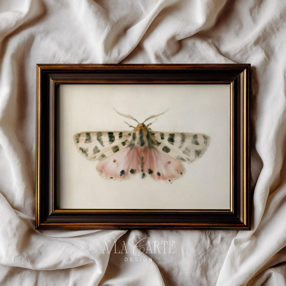 Soft pink insect illustration print for nursery — detailed wings with cream background and romantic feel