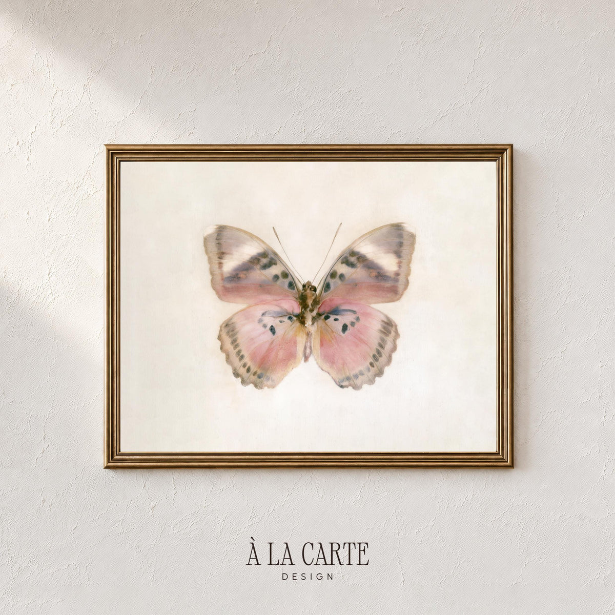 Pink moth gallery wall print instant download — naturalist study with cream background and fine details