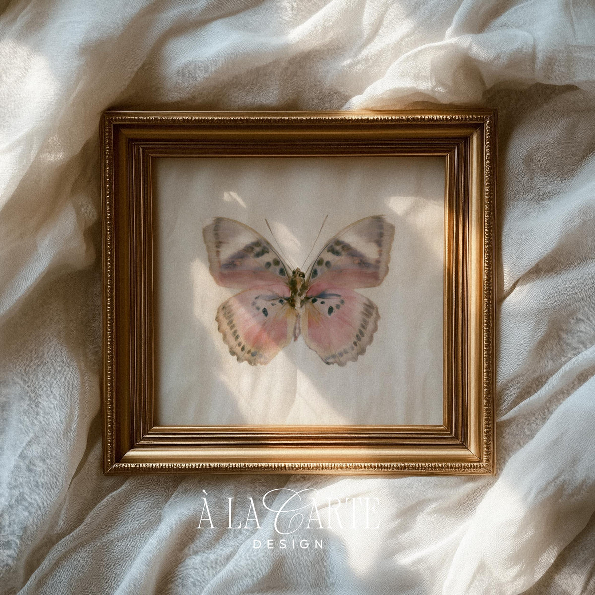 Pink-winged moth picture instant download — soft vintage entomology illustration for nature lovers