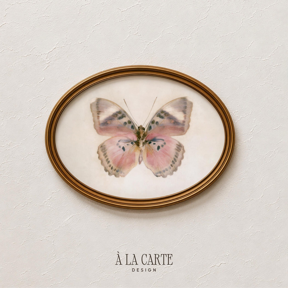 Soft neutral insect artwork for bedroom — delicate moth with spotted wings and aged aesthetic