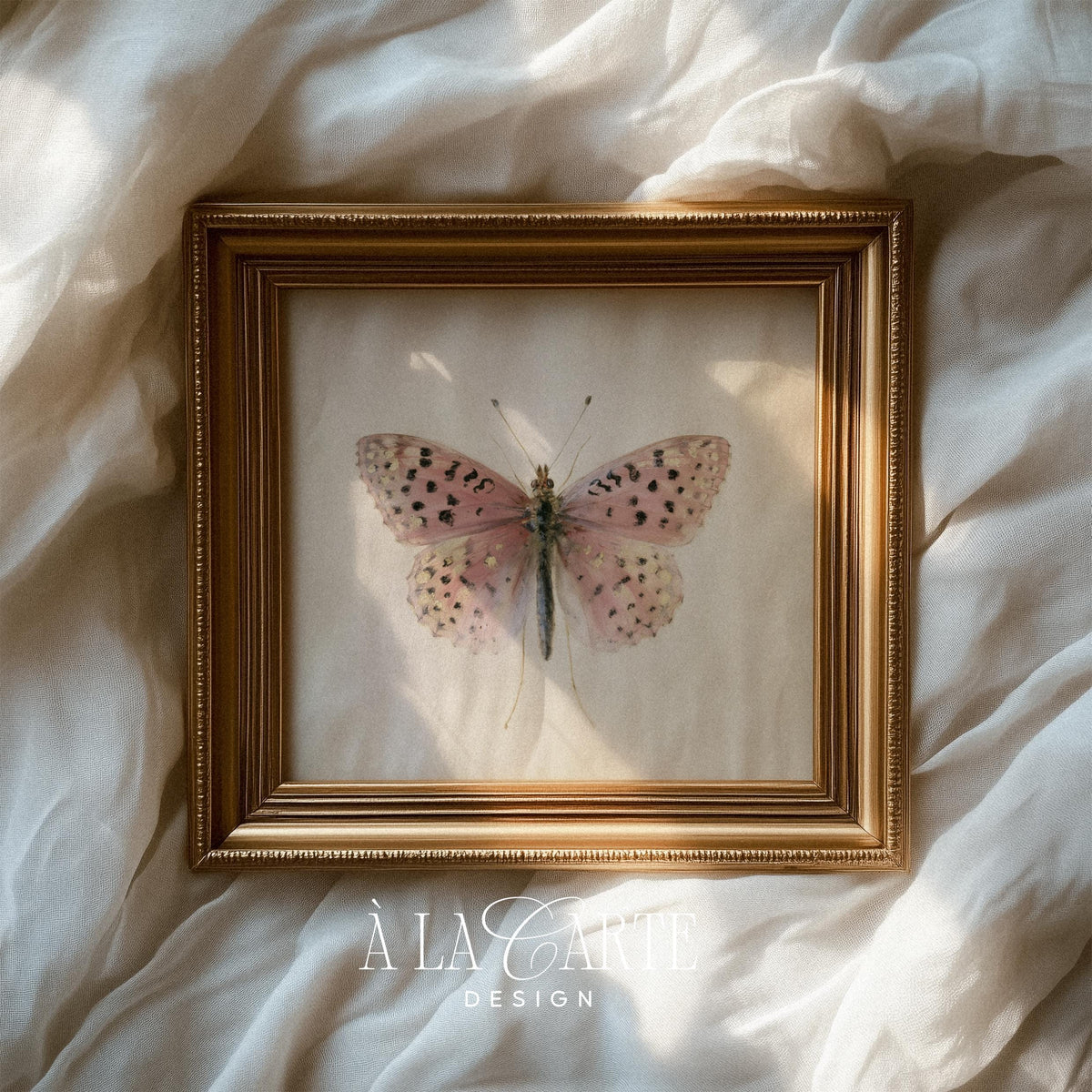 Heritage moth poster for hallway — vintage naturalist print featuring spotted wing details