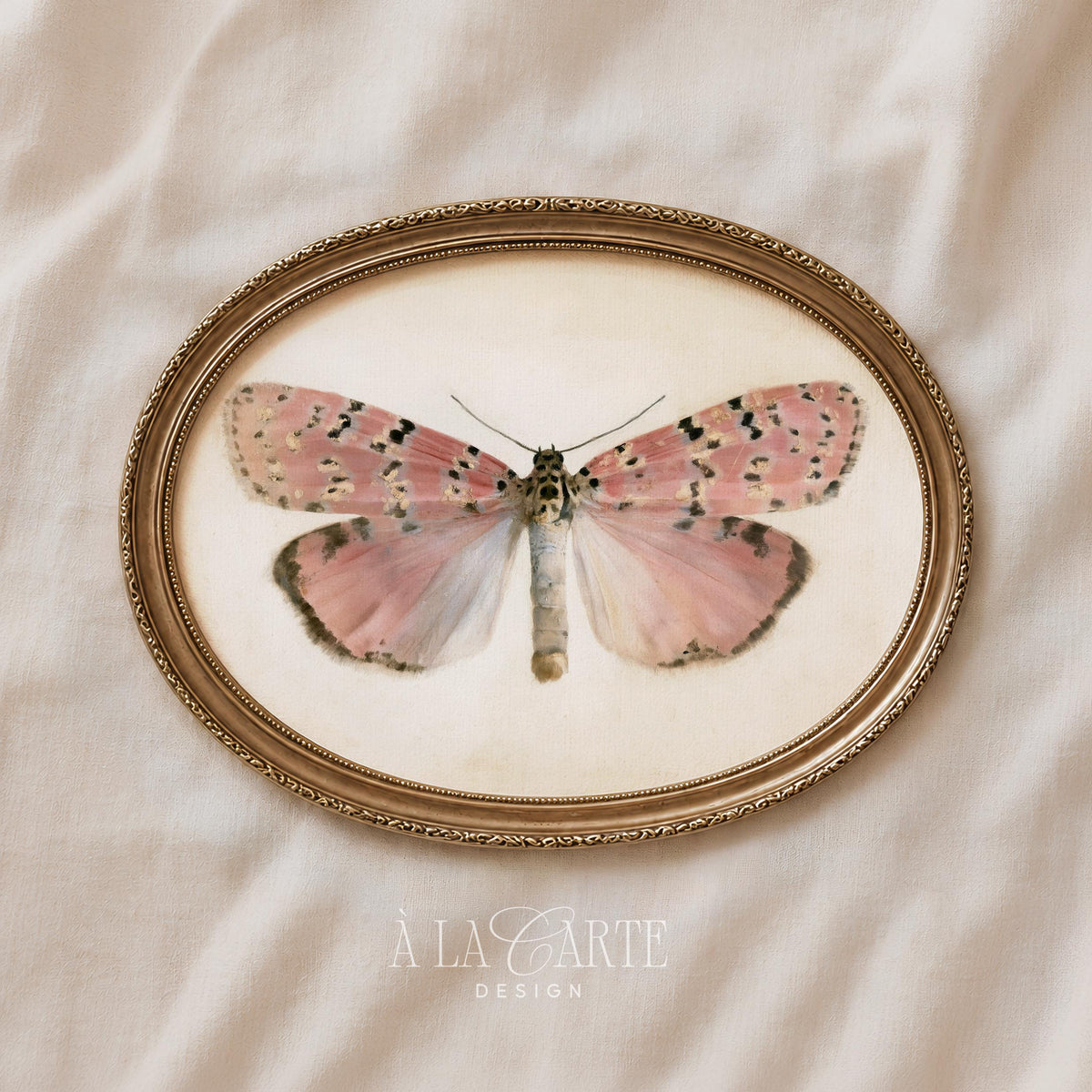 Pastel Butterfly Wall Art, Vintage Pink Moth Painting, Cottagecore Print, Insect Poster, Grandmillennial Art, French Country Decor V270